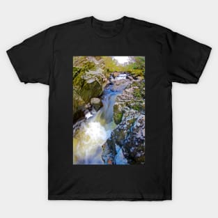 WELSH WATER FLOW T-Shirt
